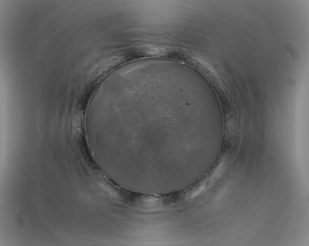 X0000115180325200911121806