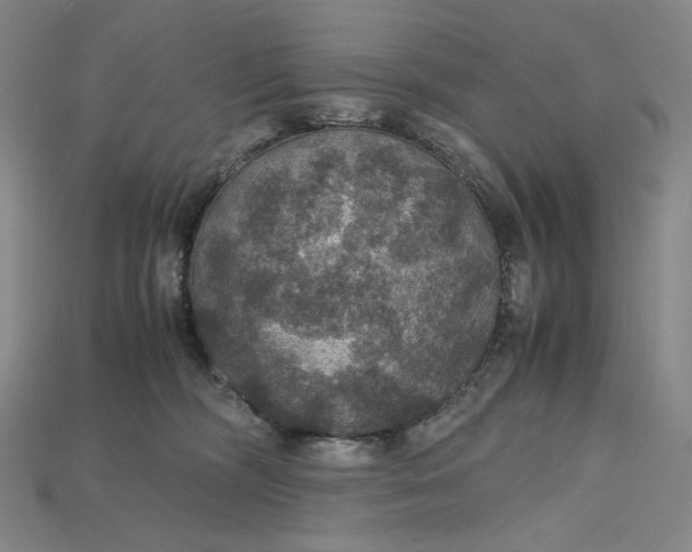 X0000115180326200911121806