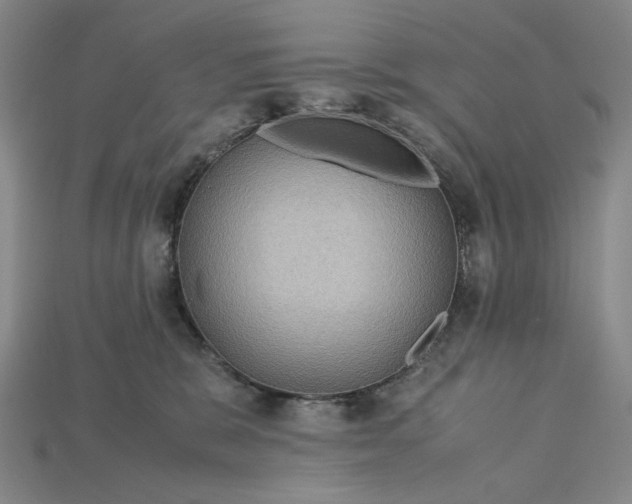 X0000115180327200911121806