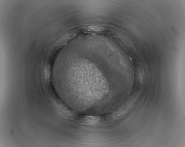 X0000115180328200911121806