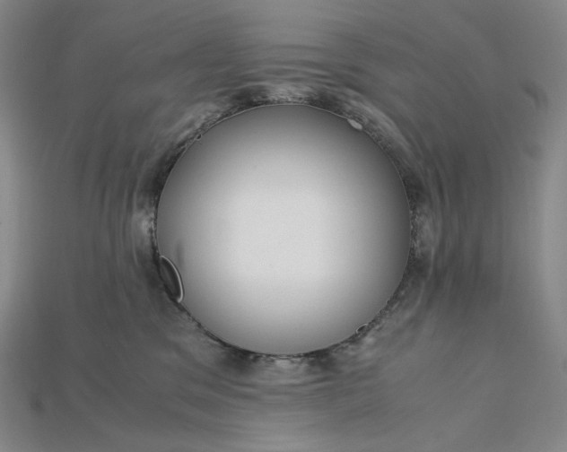 X0000115180329200911121806