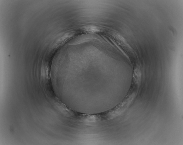 X0000115180330200911121806