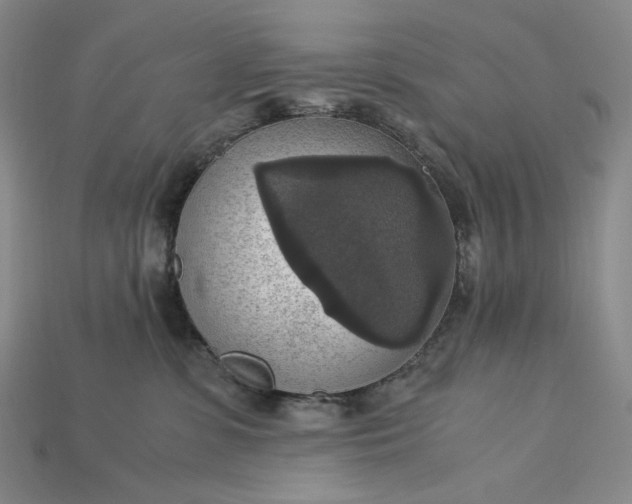 X0000115180331200911121806
