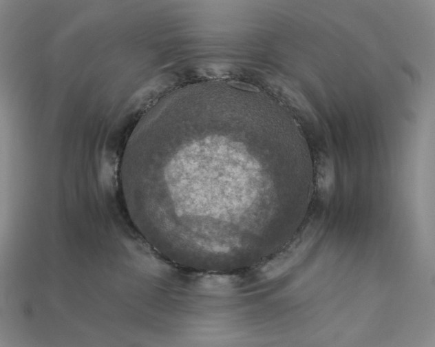 X0000115180332200911121806