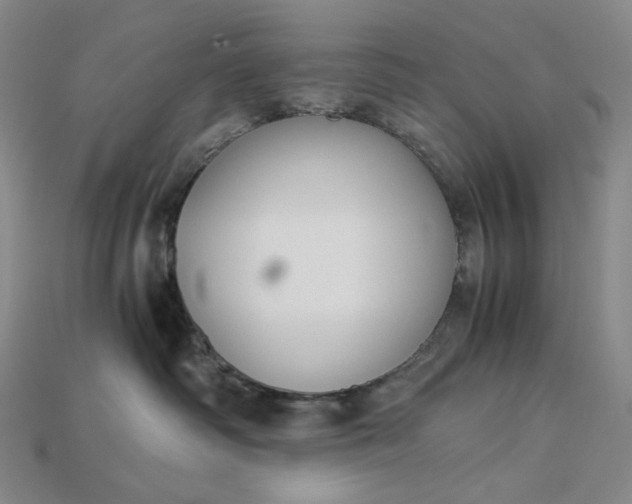 X0000115180334200911121806