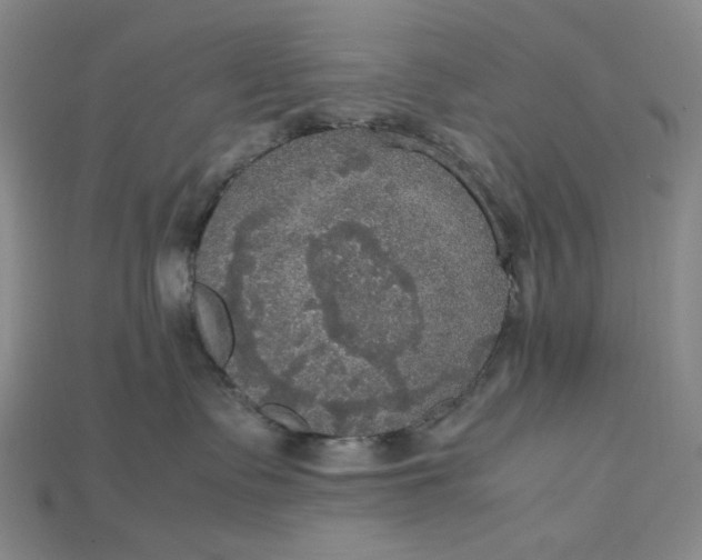 X0000115180335200911121806