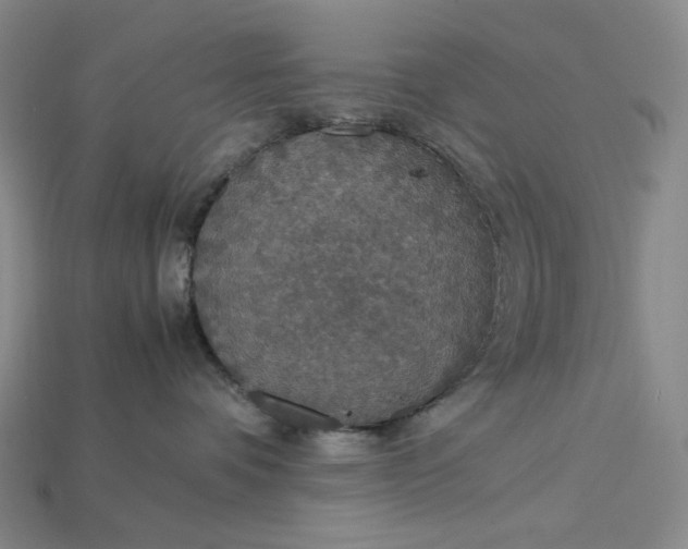 X0000115180336200911121806