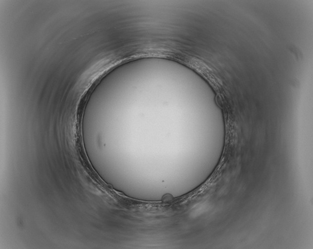 X0000115180338200911121806