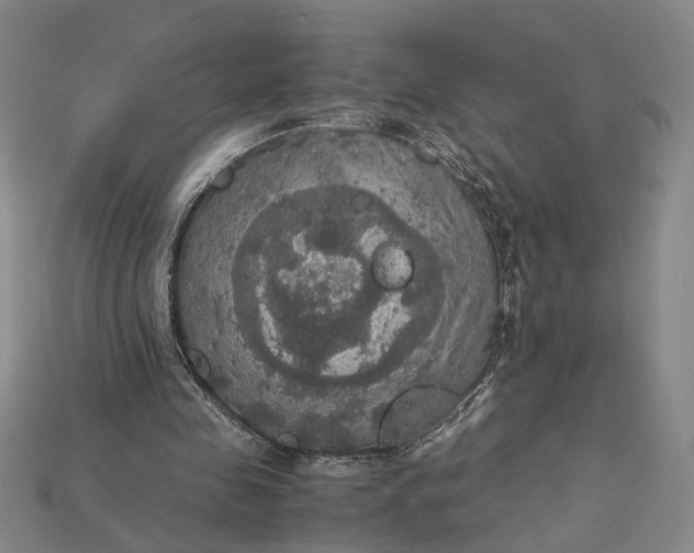 X0000115180341200911121806