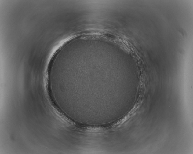 X0000115180342200911121806