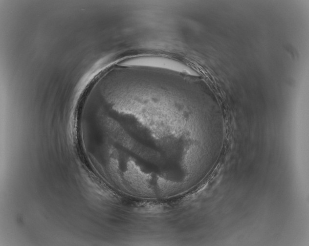 X0000115180343200911121806