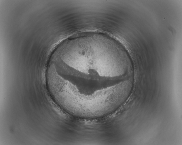 X0000115180345200911121806
