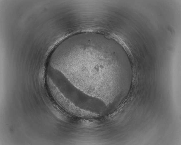 X0000115180346200911121806