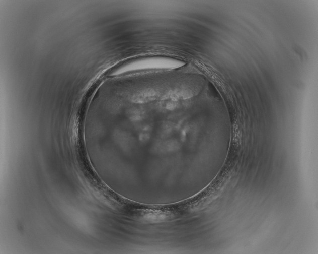 X0000115180347200911121806