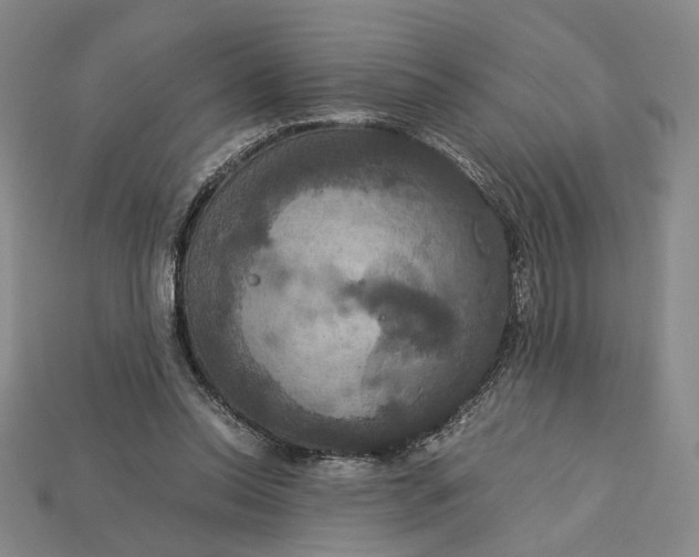 X0000115180350200911121806