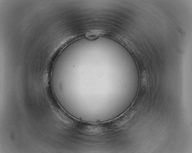 X0000115180351200911121806