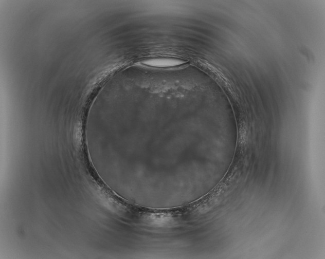 X0000115180353200911121806