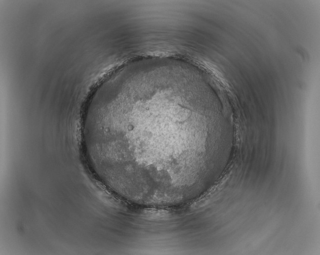 X0000115180354200911121806