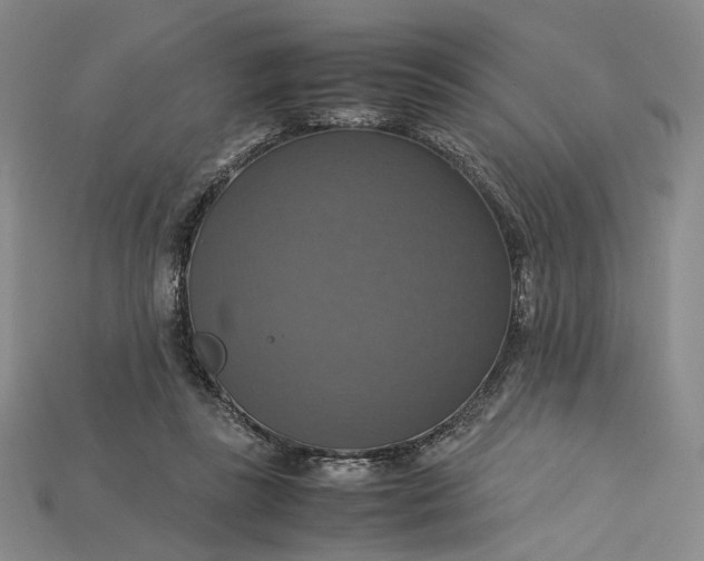 X0000115180355200911121806