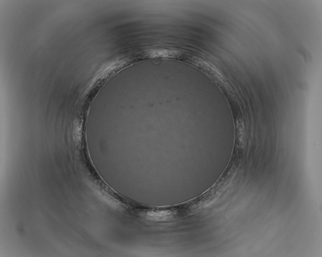 X0000115180357200911121806