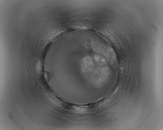X0000115180359200911121806