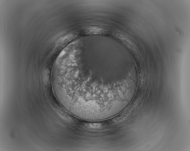 X0000115180361200911121806