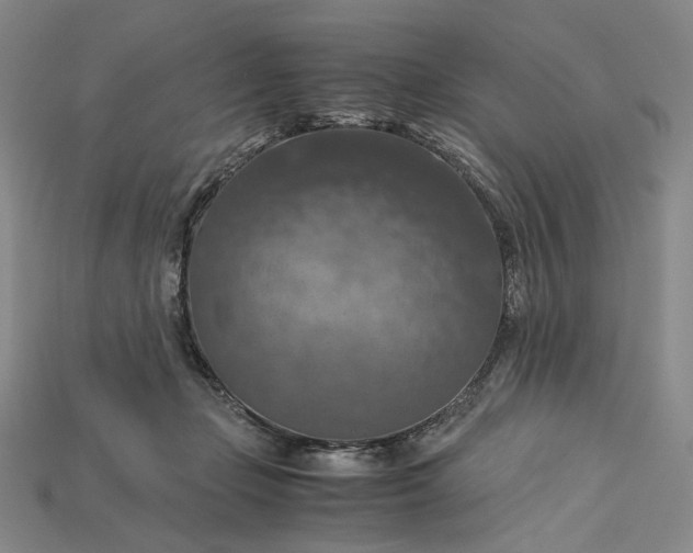 X0000115180365200911121806