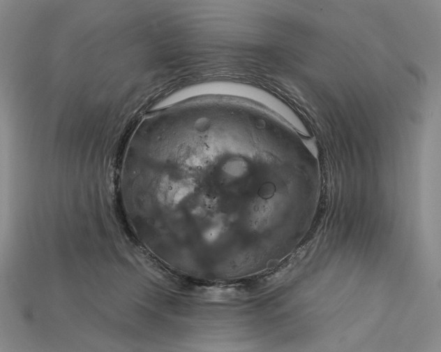 X0000115180366200911121806