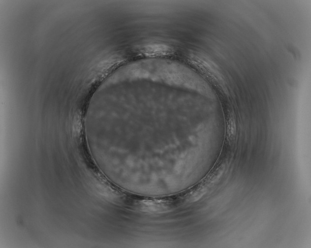 X0000115180367200911121806