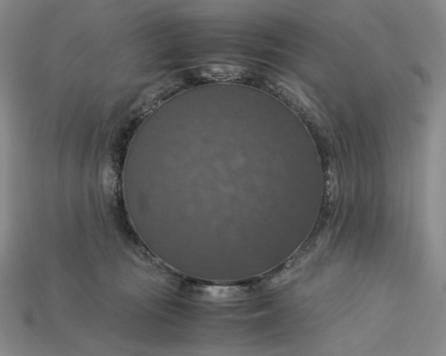 X0000115180371200911121806