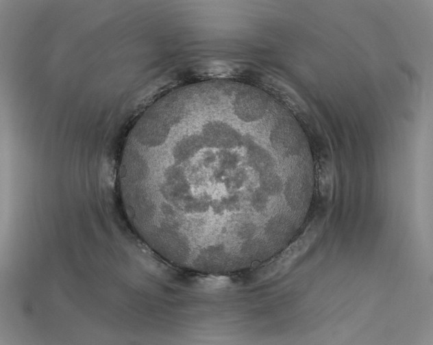 X0000115180374200911121806