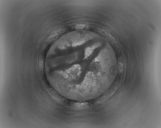 X0000115180375200911121806