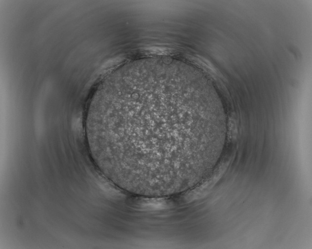 X0000115180377200911121806