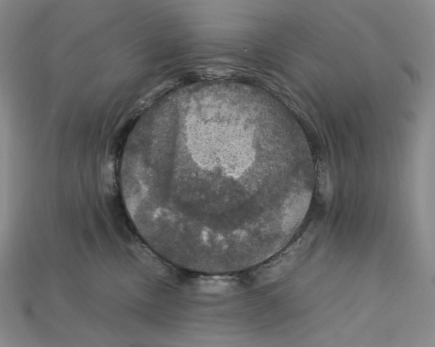 X0000115180378200911121806