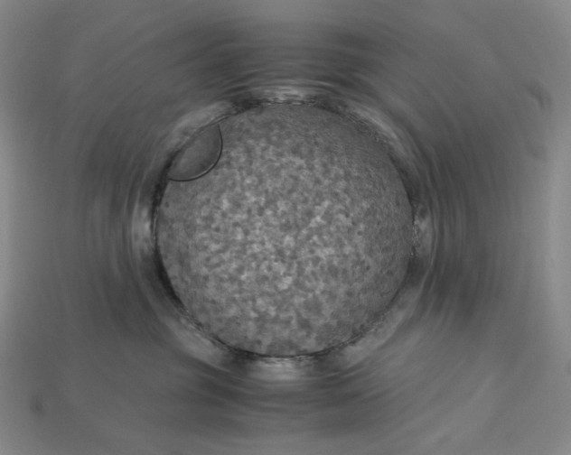 X0000115180381200911121806