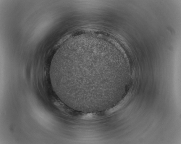 X0000115180382200911121806