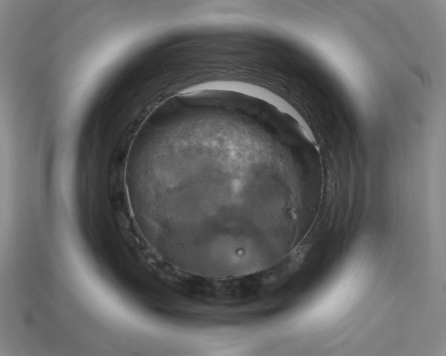 X0000115180383200911121806