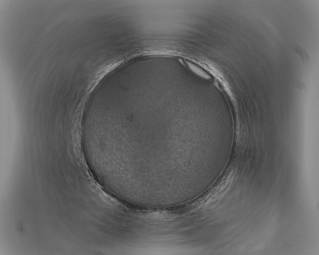 X0000115180385200911121805
