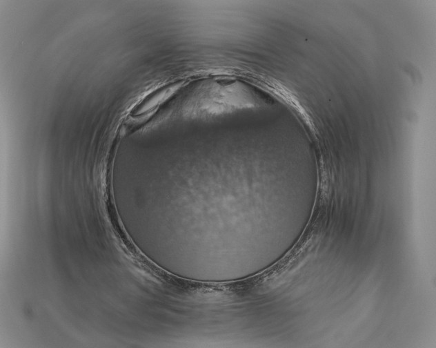 X0000115180386200911121805