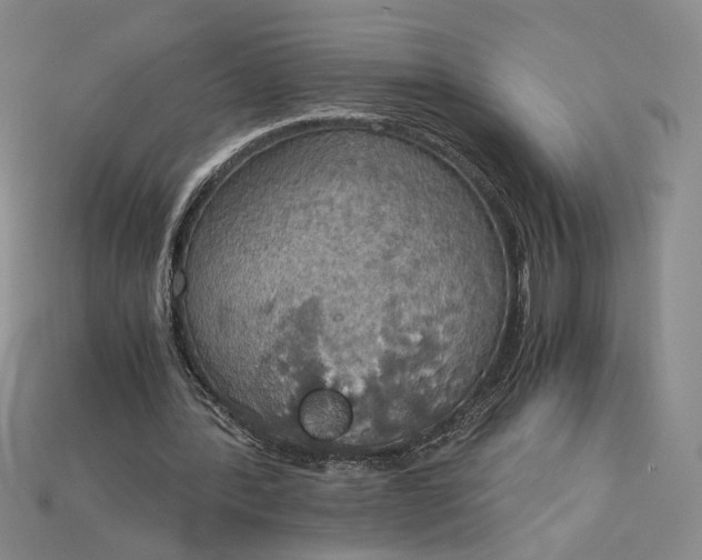 X0000115180388200911121805