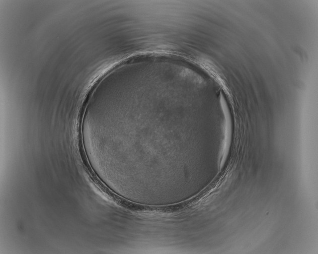 X0000115180389200911121805