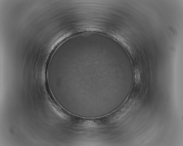 X0000115180390200911121805