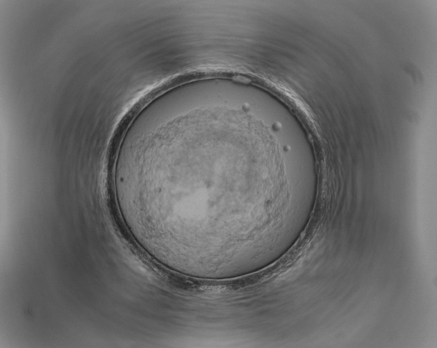X0000115180391200911121805