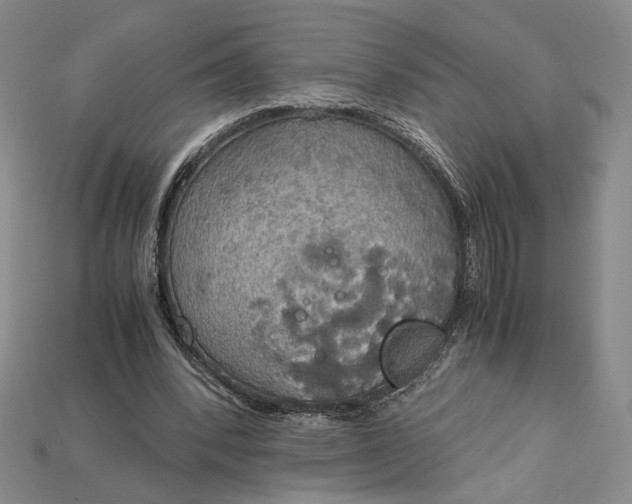 X0000115180392200911121805