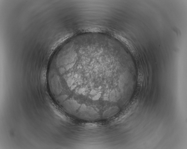 X0000115180394200911121805
