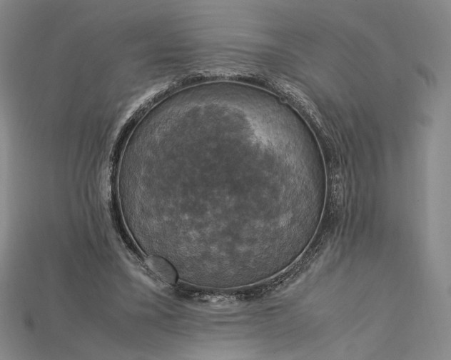 X0000115180395200911121805