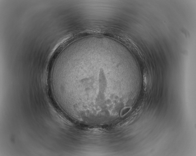 X0000115180396200911121805