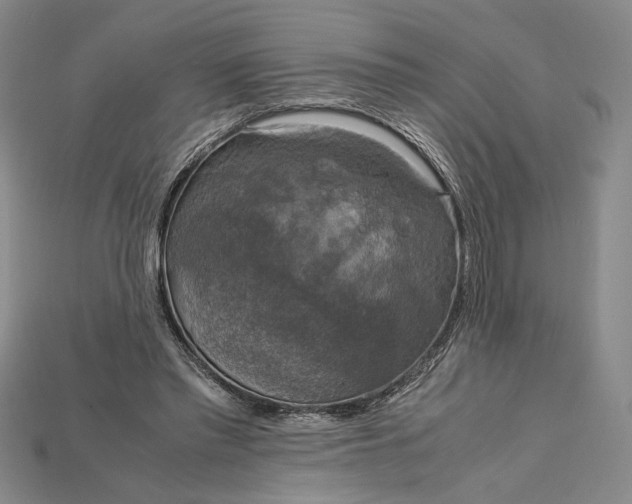 X0000115180397200911121805