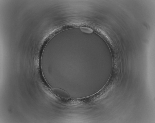 X0000115180399200911121805