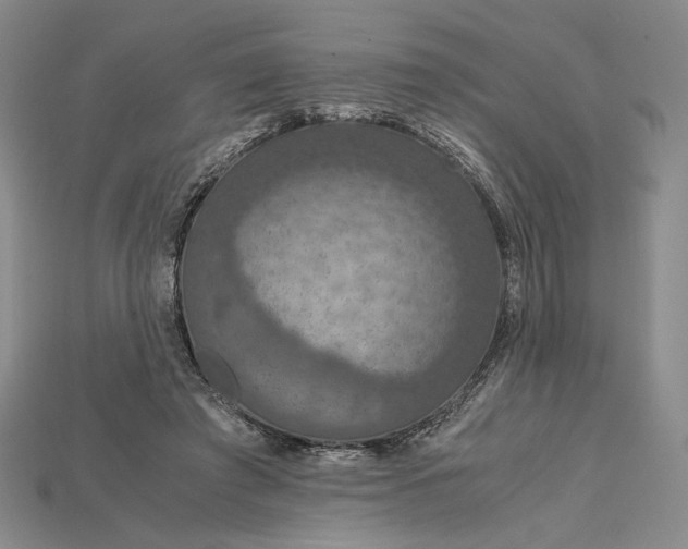 X0000115180401200911121805